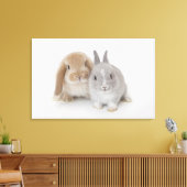 Twee Nederlandse Dwarf- en Holland Lop-bunnies Canvas Afdruk (Insitu (Woonkamer))