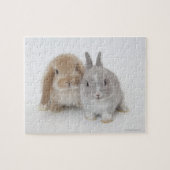 Twee Nederlandse Dwarf- en Holland Lop Bunnies Legpuzzel (Horizontaal)