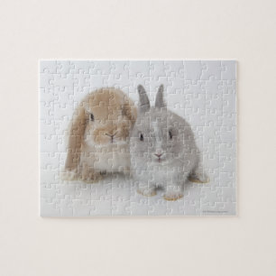 Twee Nederlandse Dwarf- en Holland Lop Bunnies Legpuzzel