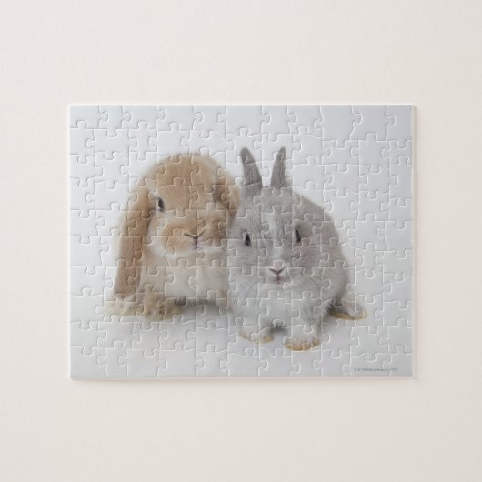 Twee Nederlandse Dwarf- en Holland Lop Bunnies Legpuzzel (Horizontaal)