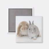 Twee Nederlandse Dwarf- en Holland Lop-bunnies Magneet (Voorkant / Achterkant)