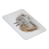 Twee Nederlandse Dwarf- en Holland Lop-bunnies Magneet (Rechterzijde)