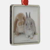 Twee Nederlandse Dwarf- en Holland Lop Bunnies Metalen Ornament (Rechts)