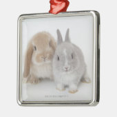 Twee Nederlandse Dwarf- en Holland Lop Bunnies Metalen Ornament (Links)