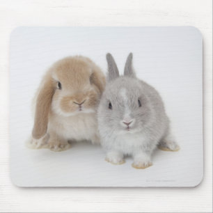 Twee Nederlandse Dwarf- en Holland Lop-bunnies Muismat