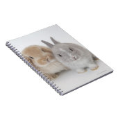 Twee Nederlandse Dwarf- en Holland Lop-bunnies Notitieboek (Rechterzijde)
