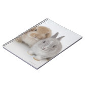 Twee Nederlandse Dwarf- en Holland Lop-bunnies Notitieboek (Linkerzijde)