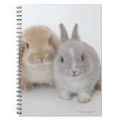 Twee Nederlandse Dwarf- en Holland Lop-bunnies Notitieboek (Voorkant)