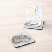 Twee Nederlandse Dwarf- en Holland Lop-bunnies Onderzetter (Rechterzijde)