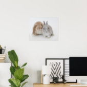 Twee Nederlandse Dwarf- en Holland Lop-bunnies Poster (Home Office)