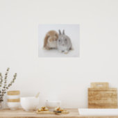 Twee Nederlandse Dwarf- en Holland Lop-bunnies Poster (Kitchen)