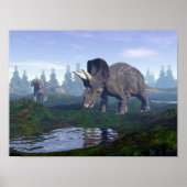 Twee nedoceratops/diceratops dinosaurussen die lop poster (Voorkant)
