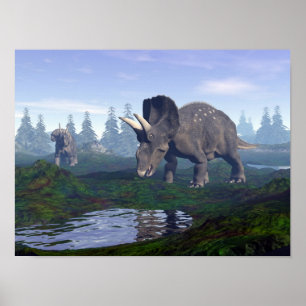 Twee nedoceratops/diceratops dinosaurussen die lop poster
