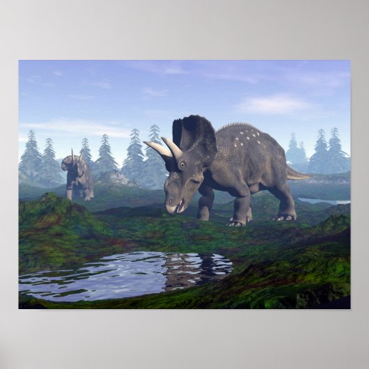 Twee nedoceratops/diceratops dinosaurussen die lop poster (Voorkant)
