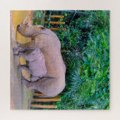 Twee neushoorns legpuzzel (Horizontaal)