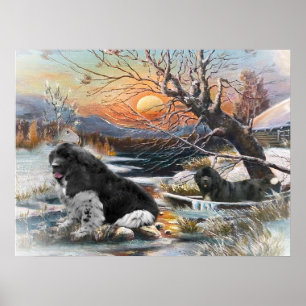 Twee Newfies winter scène Poster