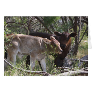 Twee nieuwe baby's op het Boerderij
