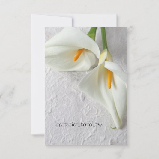 Twee nieuwe dommelies save the date (Achterkant)