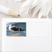 TWEE OCEAN SEAGULLS WAVT ROCK BEACH FOTOGRAPHY BI ETIKET (Insitu)