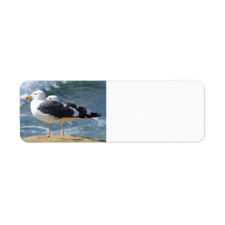 TWEE OCEAN SEAGULLS WAVT ROCK BEACH FOTOGRAPHY BI ETIKET