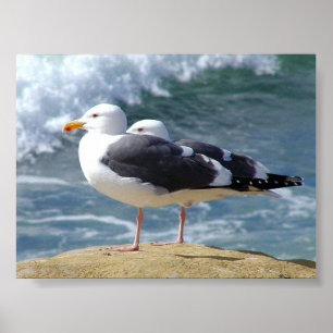 TWEE OCEAN SEAGULLS WAVT ROCK BEACH FOTOGRAPHY BI POSTER