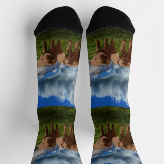 Twee olieverf, Sokken van kuit (Top)