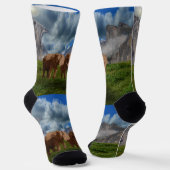 Twee olieverf, Sokken van kuit (Gebogen)