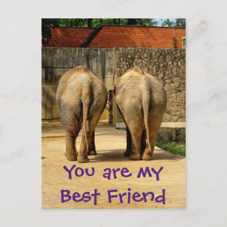 Twee olifanten - mijn beste vriend briefkaart