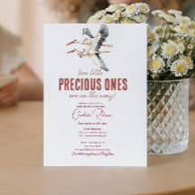 Twee ooievaars en tweelingen baby shower