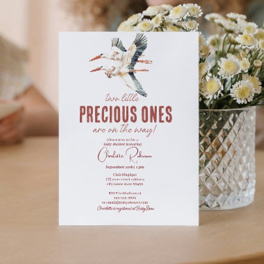 Twee ooievaars en tweelingen baby shower kaart