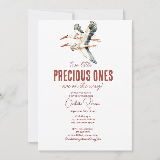 Twee ooievaars en tweelingen baby shower kaart (Voorkant)