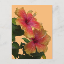Twee Oranje Hibiscus bloemkorst. DIY-Briefkaart