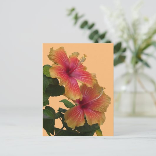 Twee Oranje Hibiscus bloemkorst. DIY-Briefkaart Briefkaart (Staand voorkant)
