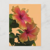 Twee Oranje Hibiscus bloemkorst. DIY-Briefkaart Briefkaart (Voorkant)