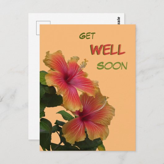 Twee oranje hibiscusbloemen Beterschap Kaart (Voorkant / Achterkant)