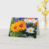 Twee Oranje madeliefjes, leeg van binnen Kaart (Gele Bloem)