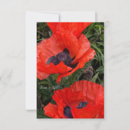 Twee Oranje oosterse papavers Notitiekaartje