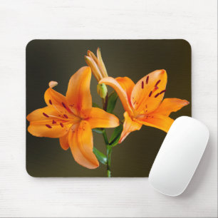 Twee Oranje Tiger Lillies en Buds Photography Muismat