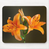 Twee Oranje Tiger Lillies en Buds Photography Muismat (Voorkant)