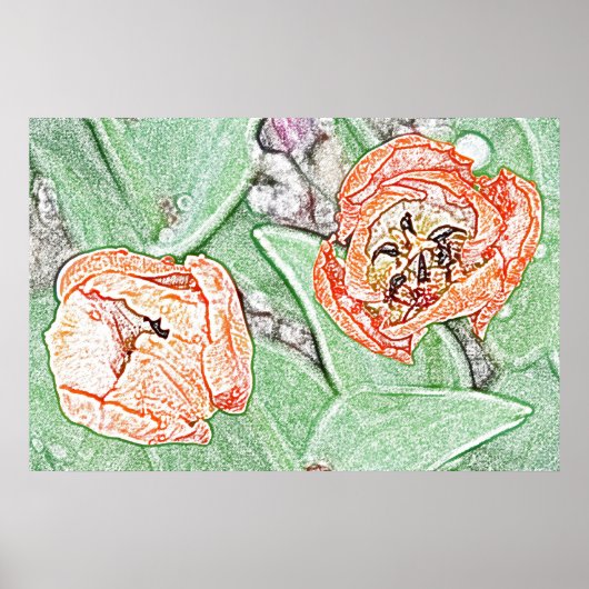 Twee oranje tulpen poster (Voorkant)