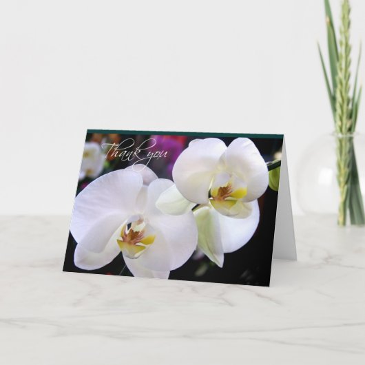 Twee Orchidee dank u notitiekaarten (Voorkant)
