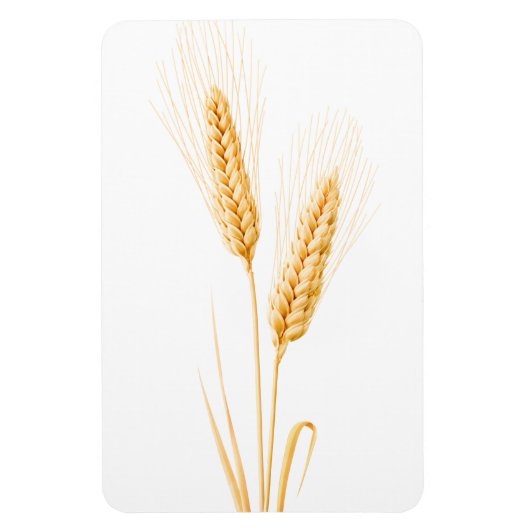Twee oren tarwe magneet (Verticaal)
