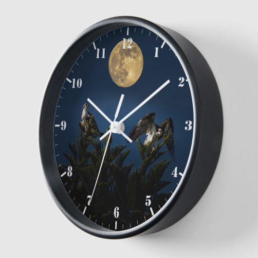 Twee Ospreys bij volle maan (Hoek)