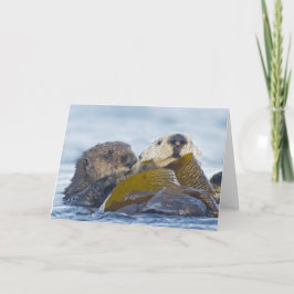 Twee Otters van het Zee van Californië Kaart