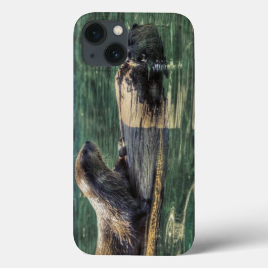 Twee Otters Wildlife Art Animal-lover's Case-Mate iPhone Case (Achterkant)
