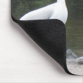 Twee oude vrienden Pelicans Muismat (Hoek)