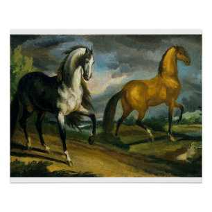 Twee Paard 1808 Perfect Poster