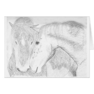 Twee paarden