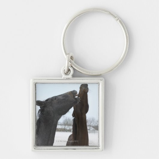 twee paarden aan de rand sleutelhanger (Voorkant)