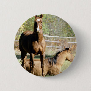 Twee Paarden bij Weiland Ronde Button 5,7 Cm